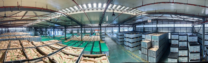 1677738095577015DpJH.jpg IMG_7094.jpg